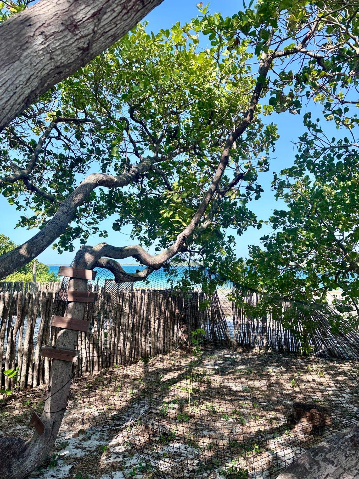 Vila Manay Lagoa Do Paraiso, Casa 2 Quartos Na Beira Da Lagoa Jijoca de Jericoacoara Exteriér fotografie